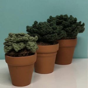 Crochet  Succulent Decor (multiple sizes)