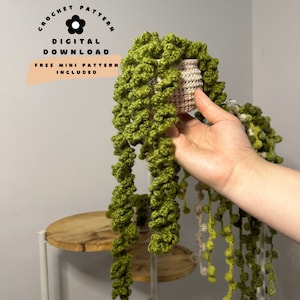 Crochet Curly Fern Plant Pattern | Crochet Pattern | Large Plant | PDF Pattern | Crochet Plants | String Of Pearls | Handmade