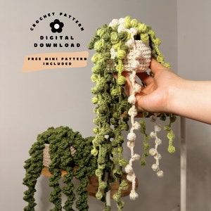 Crochet String Of Pearls Plant Pattern | Crochet Pattern | Large Plant | PDF Pattern | Crochet Plants | String Of Pearls | Handmade