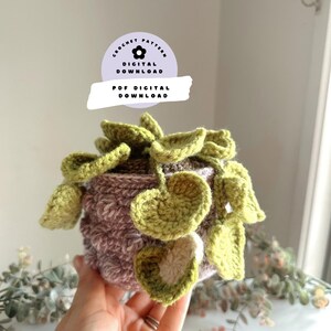 May include: A handmade crochet plant with green leaves and a lavender pot. The leaves are heart-shaped and hang down from the pot. The pot has a textured appearance. Text on the image reads "CROCHET PATTERN DIGITAL DOWNLOAD PDF DIGITAL DOWNLOAD."