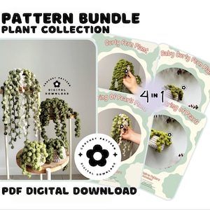 Può includere: Un pacchetto di modelli di download digitale per lavorare a uncinetto quattro diversi design di piante: una pianta di felce riccia, una pianta di felce riccia baby, una pianta di collana di perle e una pianta di collana di perle. L'immagine mostra una pianta di collana di perle lavorata a uncinetto su un supporto in legno, e un primo piano di ciascuno dei quattro design di piante.