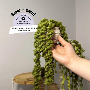 May include: A crocheted hanging plant with green and cream yarn. The plant is in a small crocheted pot. The image includes the text "Low - sew! Crochet Pattern Digital Download Free Mini Pattern Included".