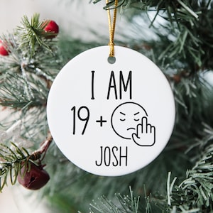 Personalized 20th Birthday Ornament, 20 Birthday Sarcastic Gift, Funny 20th Birthday Decor, Twenty Year Old Birthday Gift For Men, For Women