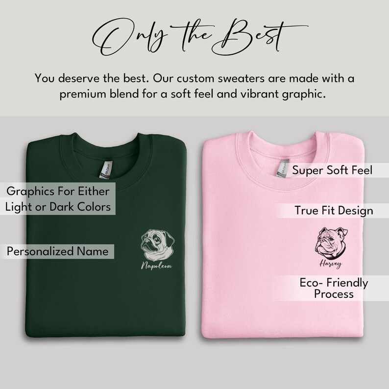 Custom Dog Sweater, Personalized Rhodesian Ridgeback Pullover Custom