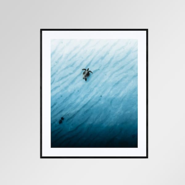 Digital Download of A Turtle in Osprey Bay, Western Australia | Wildlife Photography | Turtle Photography | Digital Wall Art | Drone