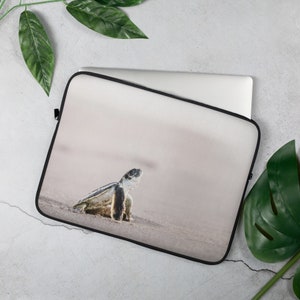 Puede incluir: Una pequeña tortuga marina se arrastra por una playa de arena. La tortuga está mirando hacia el lado derecho de la imagen y tiene un caparazón marrón claro con marcas negras. El fondo es de color rosa claro.