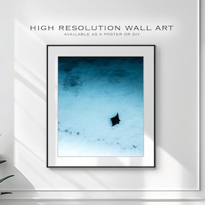 Digital Download Poster of A Manta Ray in Osprey Bay, Western Australia | Wildlife Photography | Manta Ray Photography | Digital Wall Art