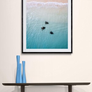 Digital Download Poster of Turtles on the Ningaloo Reef, Western Australia | Wildlife Photography | Sea Turtle Print, Turtle Swimming Print image 5