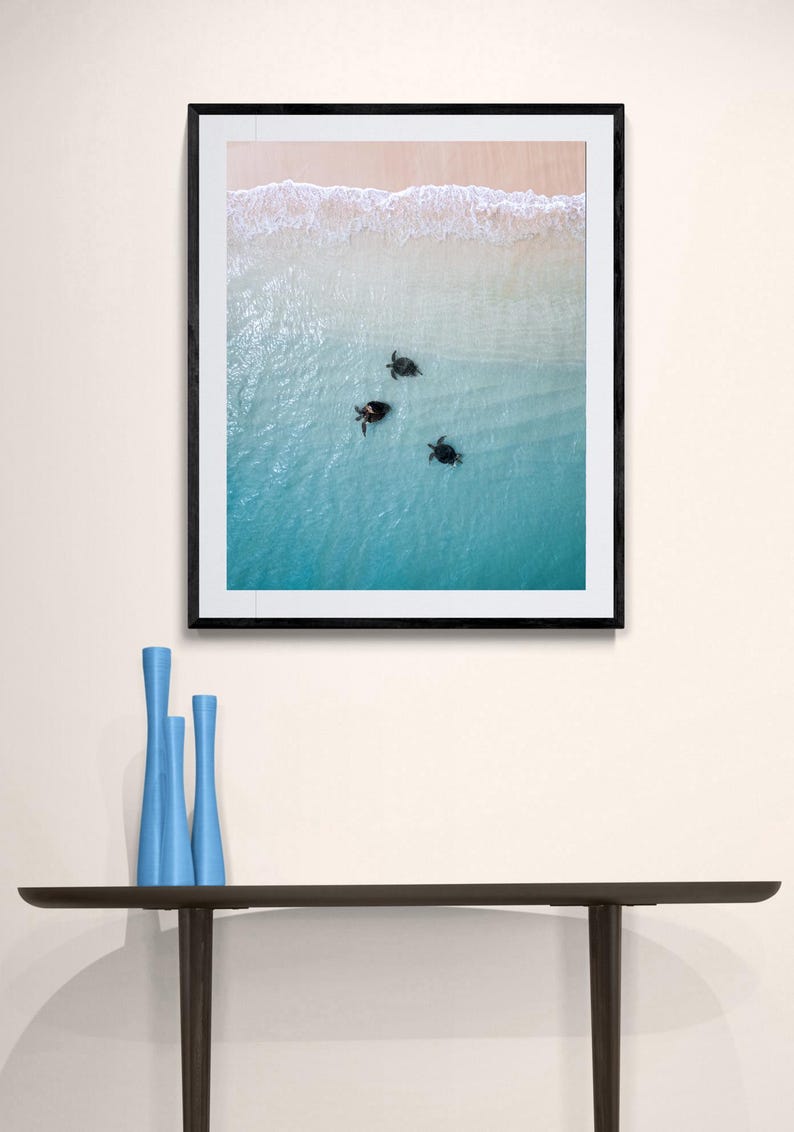 Digital Download Poster of Turtles on the Ningaloo Reef, Western Australia | Wildlife Photography | Sea Turtle Print, Turtle Swimming Print image 5