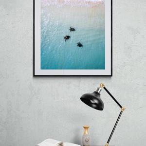 Digital Download Poster of Turtles on the Ningaloo Reef, Western Australia | Wildlife Photography | Sea Turtle Print, Turtle Swimming Print image 2