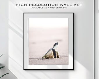 Download digitale del poster di una tartaruga appena nata a Eighty Mile Beach, Australia Occidentale / Fotografia naturalistica / Stampa di tartaruga marina