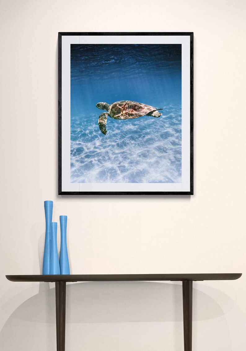 Digital Download Poster of A Turtle on the Ningaloo Reef, Western ...