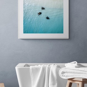 Digital Download Poster of Turtles on the Ningaloo Reef, Western Australia | Wildlife Photography | Sea Turtle Print, Turtle Swimming Print image 4