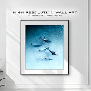 Cartel de descarga digital de ballenas en la playa de los dientes, fotografía de paisaje, fotografía de playa / arte de pared digital / impresión de ballenas / impresión de vida silvestre