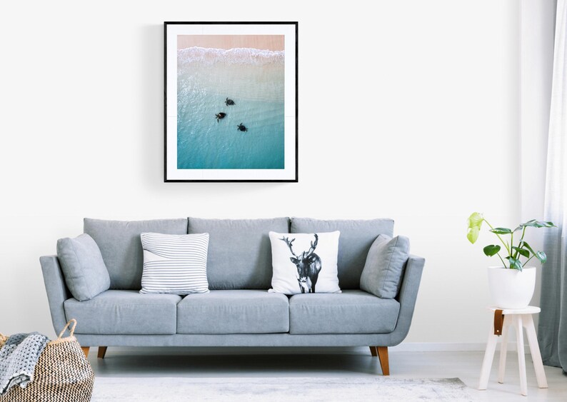 Digital Download Poster of Turtles on the Ningaloo Reef, Western Australia | Wildlife Photography | Sea Turtle Print, Turtle Swimming Print image 7