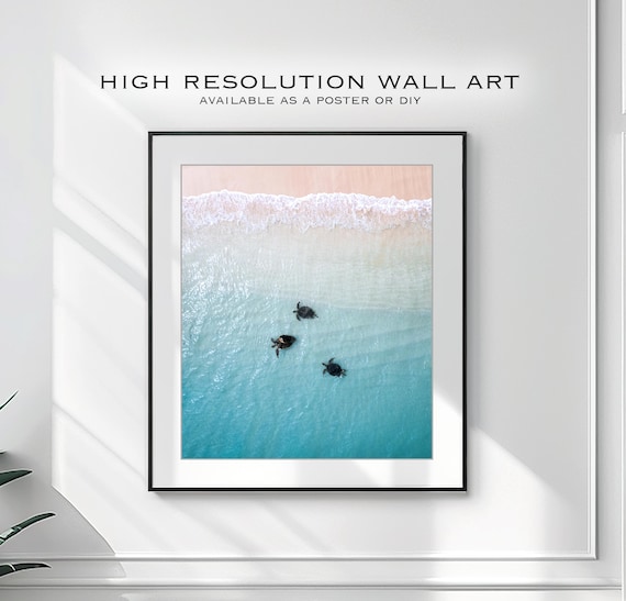 Digital Download Poster of Turtles on the Ningaloo Reef, Western Australia | Wildlife Photography | Sea Turtle Print, Turtle Swimming Print