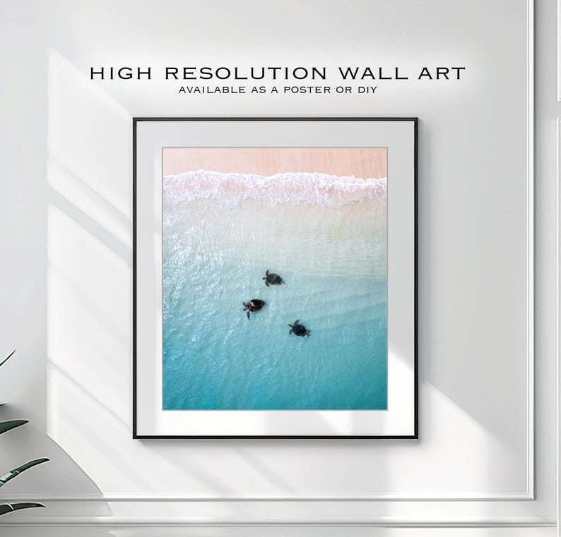 Digital Download Poster of Turtles on the Ningaloo Reef, Western Australia | Wildlife Photography | Sea Turtle Print, Turtle Swimming Print image 1