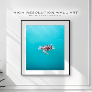 Digitale downloadposter van een schildpad bij Monkey Mia, West-Australië | Natuurfotografie | Zeeschildpadprint, zwemschildpadprint