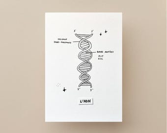 Ilustración científica "ADN" - edición limitada con etiqueta en relieve