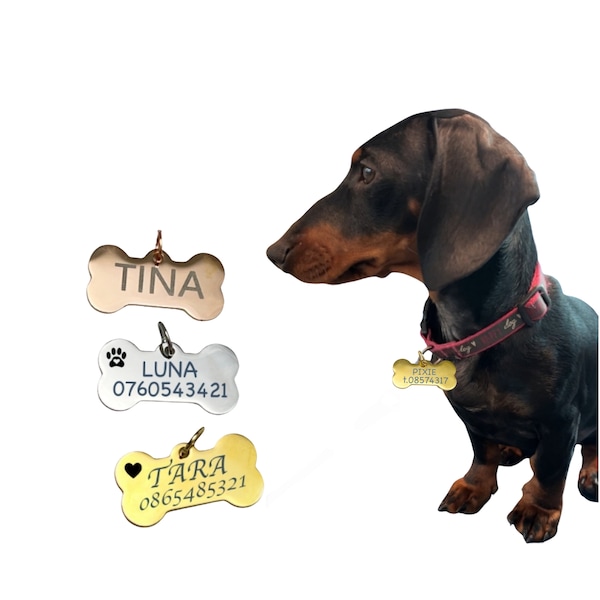 Étiquette de chien gravée avec nome et numéro de téléphone, Médaillon personnalisé  pour chat , d'identification pour chien de compagnie