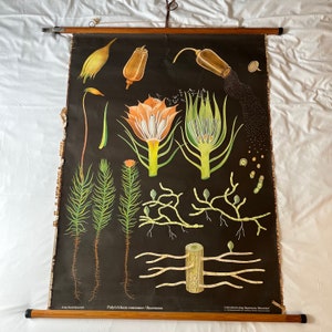 affiche scolaire ancienne en toile - brocante française -