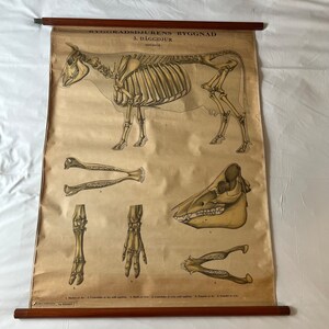 affiche scolaire ancienne en toile - brocante française -