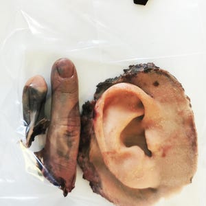 Puede incluir: Una bolsa de plástico transparente que contiene una oreja, un dedo y un dedo del pie cortados. Manchas de sangre roja oscura son visibles en la bolsa. Los objetos parecen ser modelos anatómicos realistas.
