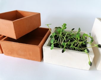 Terracotta pot for micro greens, White ceramic, brown ceramic, handmade planter.