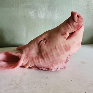 Pode incluir: Uma réplica realista em tamanho real de uma cabeça de porco num tom rosa pálido. O modelo apresenta uma textura de pele detalhada, um focinho com narinas visíveis, olhos fechados e uma orelha proeminente na lateral da cabeça.