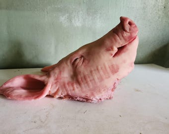 Pig's head from silicone.HOLLOW. Life size.  SFX , movie props, escape room