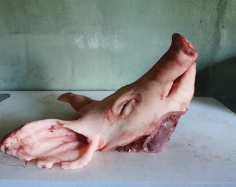 Pig's head from silicone.HOLLOW. Life size.  SFX , movie props, escape room