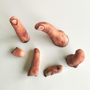 Peut inclure: Un ensemble de six accessoires en forme de doigts sectionnés, fabriqués dans un matériau réaliste de couleur chair. Chaque pièce présente des textures détaillées, incluant des articulations, des plis cutanés et des ongles visibles.