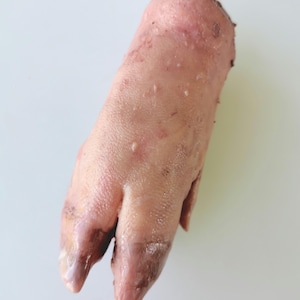 Könnte beinhalten: Ein roher Schweinefuß mit blassrosa Haut, sichtbaren Poren und Textur. Der untere Teil des Hufs weist eine dunklere, bräunlich-graue Pigmentierung und eine gespaltene, zweizehige Struktur auf, die für einen Schweinefuß charakteristisch ist.