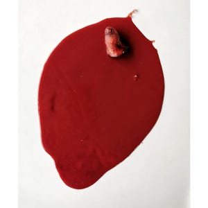 Puede incluir: Una imagen vívida que presenta una gran piscina ovalada de líquido rojo oscuro sobre un fondo blanco. Un pequeño objeto carnoso descansa sobre la piscina roja, agregando una textura y color contrastantes.