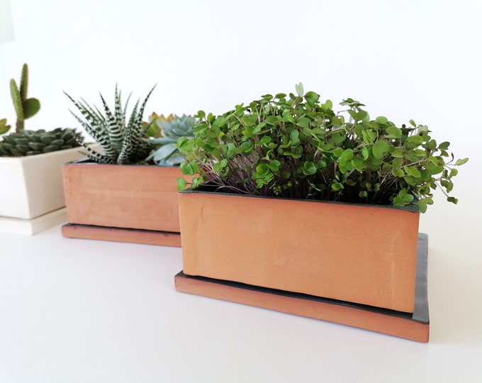 Microgreens cactus or succulents growing ceramic box with ceramic glazed tile 2 colors