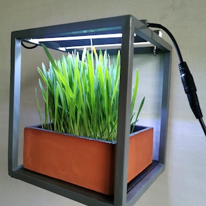 Op de afbeelding: Een moderne binnenplanter met een rechthoekige terracotta-kleurige pot gevuld met levendig groen gras. De pot is ingesloten in een grijs metalen frame met een geïntegreerde LED-verlichting. Een zwart netsnoer steekt uit het frame.