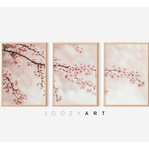 Può includere: Un set di tre stampe con immagini ravvicinate di delicati fiori di ciliegio rosa su uno sfondo morbido e sfocato.
