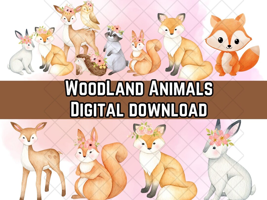 Woodland Animals SVG Woodland Creatures SVG Woodland Animals - Etsy