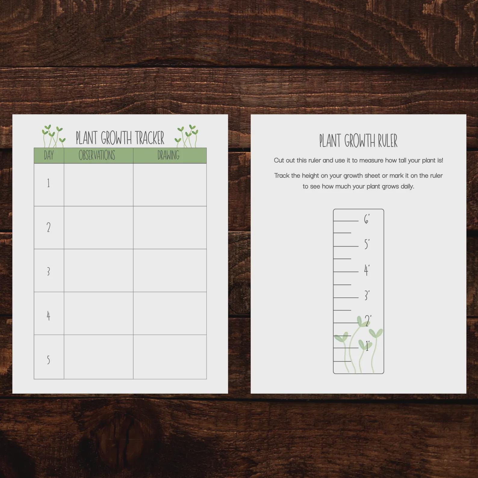 Current Week Tracker Ruler Plant Log | Plant Growth Tracker With Ruler - Etsy