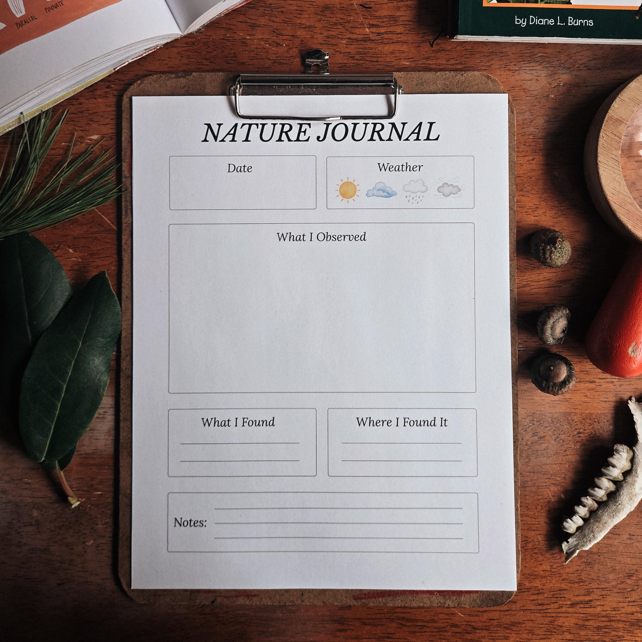 Nature Journal Nature Observation Sheet