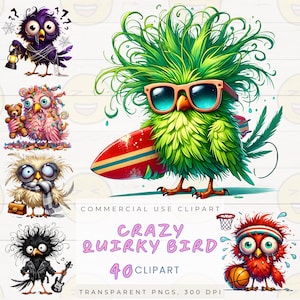Pacote de clipart de pássaros malucos e peculiares - 40 PNGs de pássaros engraçados de desenho animado para projetos de artesanato, scrapbooking e faça você mesmo - Uso comercial, 300 DPI, conjunto 1