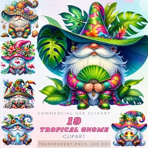 Paquete de 19 imágenes prediseñadas de gnomos tropicales con fondo transparente, archivos PNG de gnomos de verano, lindas ilustraciones de gnomos de playa para sublimación