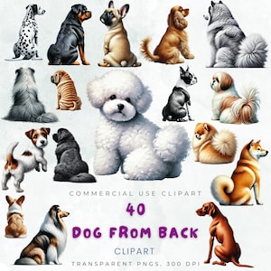 40 Hund von hinten Clipart Bundle, süße Hunde Illustrationen, digitale Hunde PNGs, transparente Hunde Grafiken, Haustierkunst, kommerzielle Nutzung