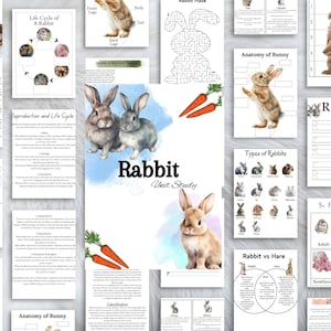Rabbit Unit Study| Bunny| Homeschool Printable | Printables for Kids| INSTANT DOWNLOAD