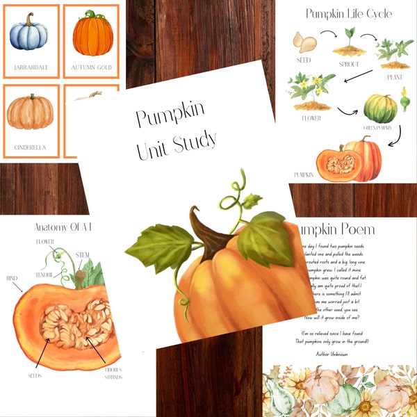 Pumpkin Unit Study INSTANT DOWNLOAD fall study