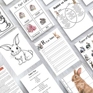 Rabbit Unit Study| Bunny| Homeschool Printable | Printables for Kids ...