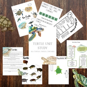 Eenheidsstudie schildpad/ INSTANT DOWNLOAD/ Schildpadden, zeeschildpadden, schildpadden