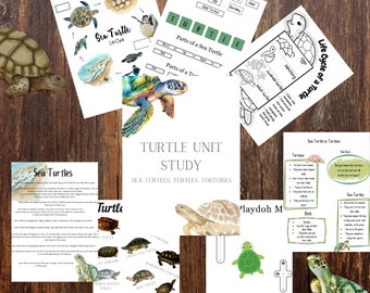 Turtle Unit Study/ INSTANT DOWNLOAD/ Turtles, Sea Turtles, Tortoises