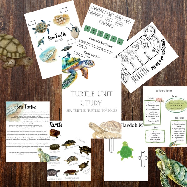 Turtle Unit Study/ INSTANT DOWNLOAD/ Turtles, Sea Turtles, Tortoises