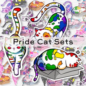 Puede incluir: Un conjunto de pegatinas de gatos coloridos con salpicaduras de pintura arcoíris. Los gatos están en varias poses, incluyendo dormir, sentarse y estar de pie. Las pegatinas son perfectas para agregar un toque de fantasía a las computadoras portátiles, botellas de agua o diarios. El texto "Pride Cat Sets" aparece en la imagen.